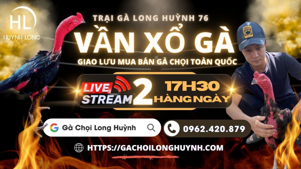 video xem lại live ngày 7/8 – CLB Gà Chọi Long Huỳnh – Live 2